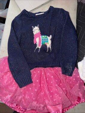 Navy Sweater with Llama Patch and Pink Skirt